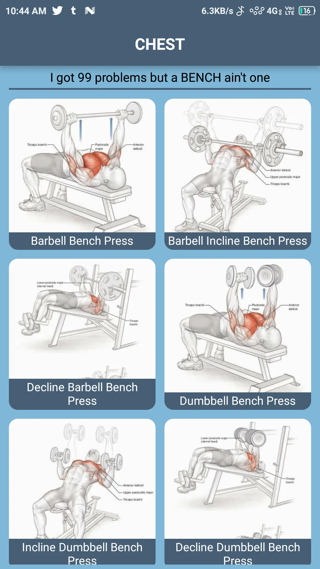 Chest Workout Library with Detailed Anatomical Diagrams