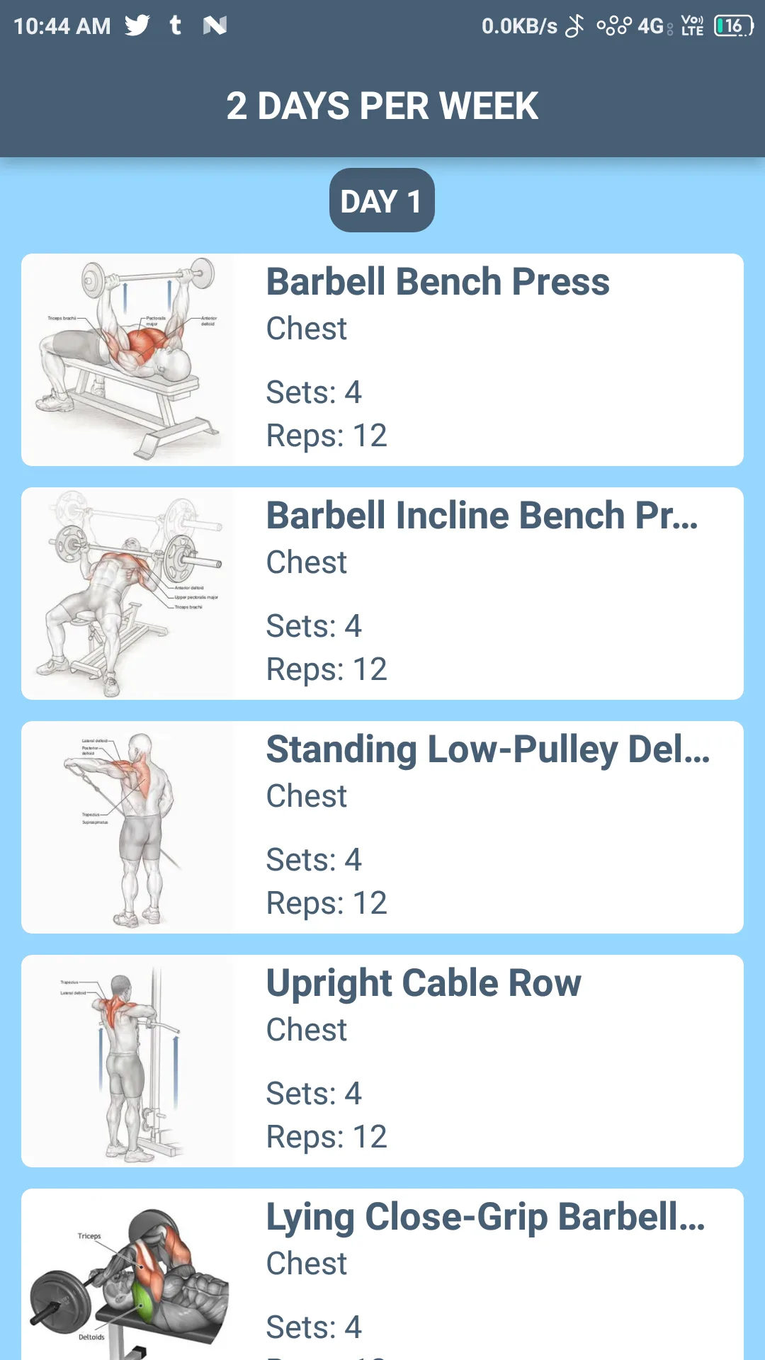 Day-by-Day Exercise Routine Breakdown with Sets & Reps