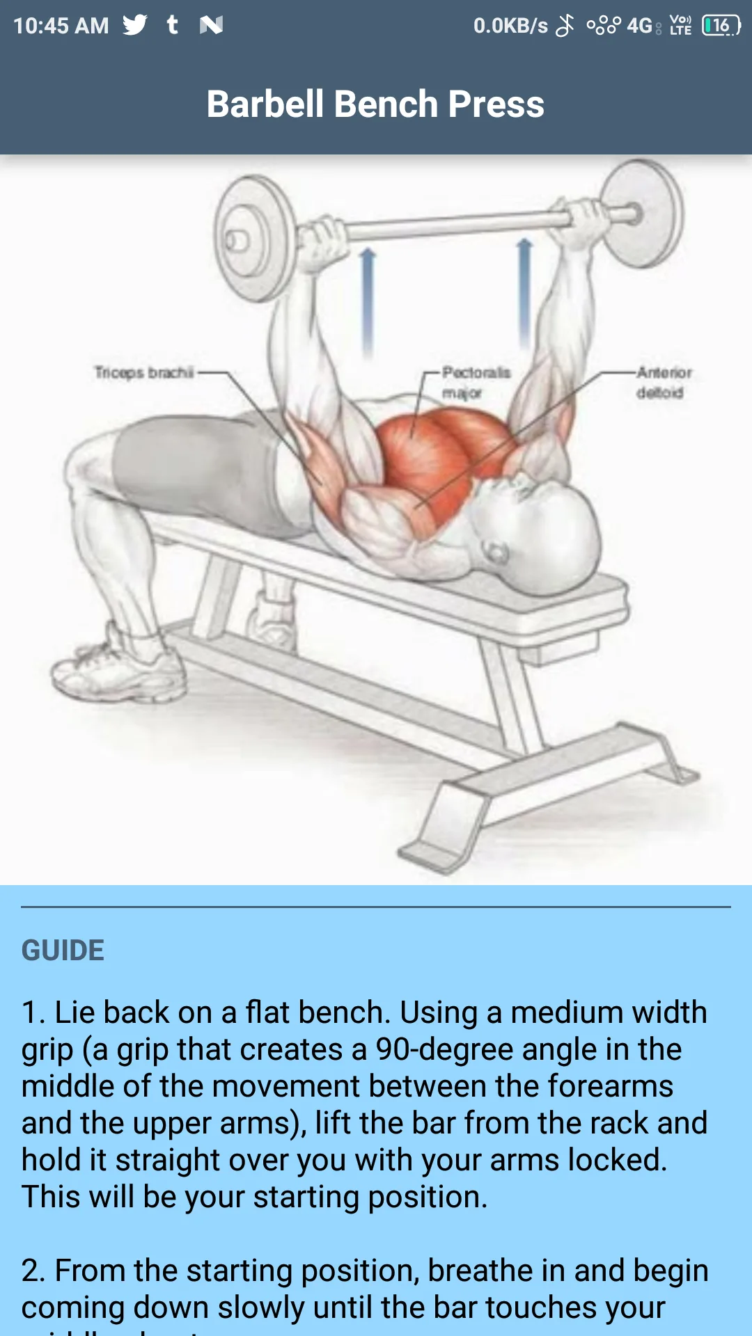 Step-by-Step Exercise Execution & Biomechanical Guide