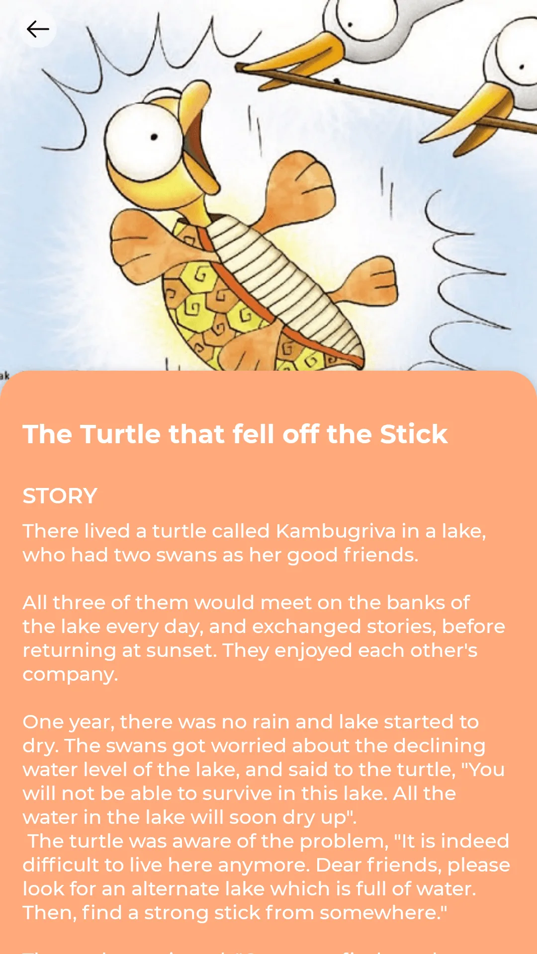 The Turtle That Fell Off the Stick Reader