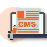 CMS Development Company in India