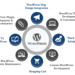 Wordpress Development Company