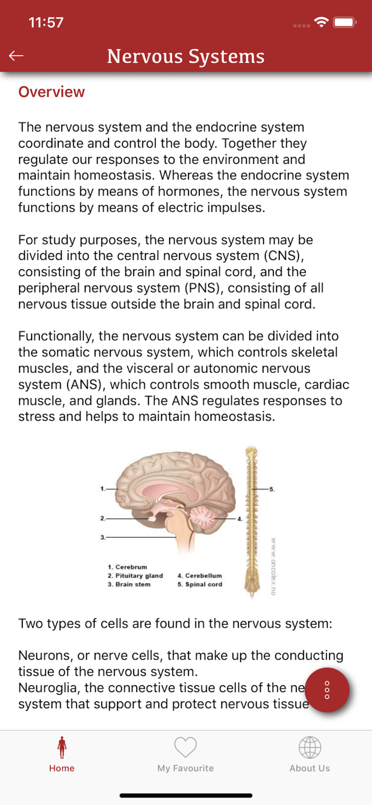 All Body System (10)