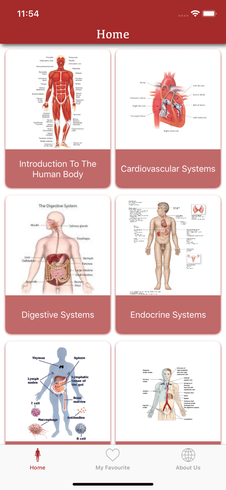 All Body System (2)