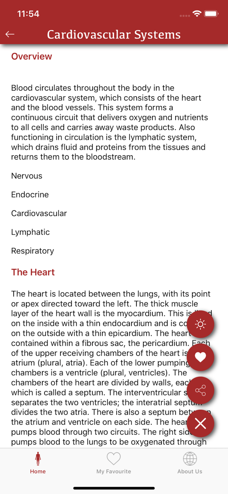 All Body System (4)