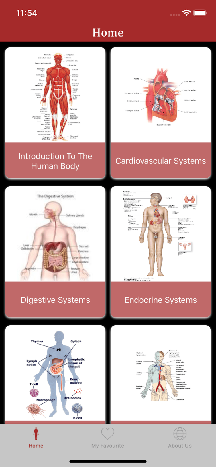 All Body System (6)